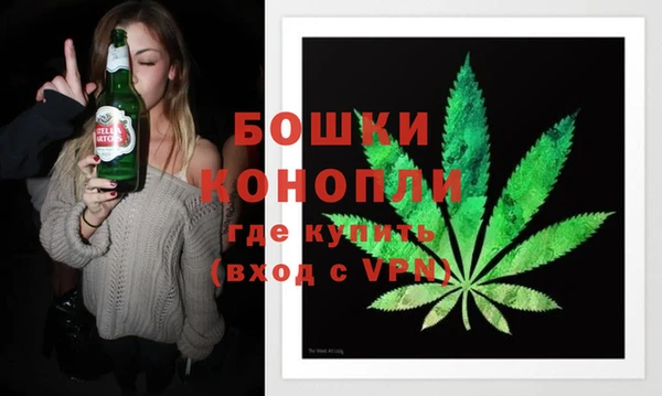 молекула духа Пестово